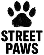 Street Paws Studio